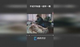 试一试在线观看,探索试一试在线观看的精彩瞬间