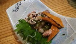 芥末章鱼爆料怎么做视频,视频生成攻略，轻松制作吸睛内容